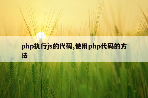 php执行js的代码,使用php代码的方法