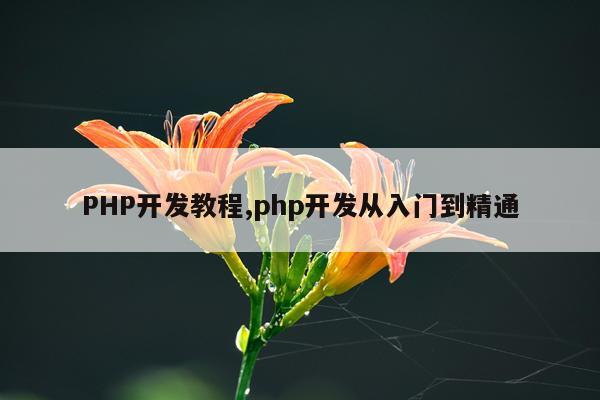 PHP开发教程,php开发从入门到精通