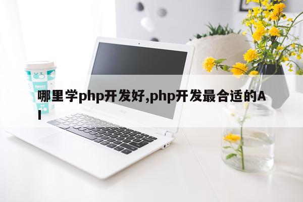 哪里学php开发好,php开发最合适的AI