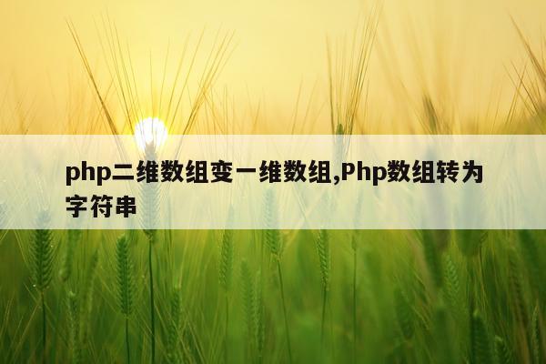 php二维数组变一维数组,Php数组转为字符串