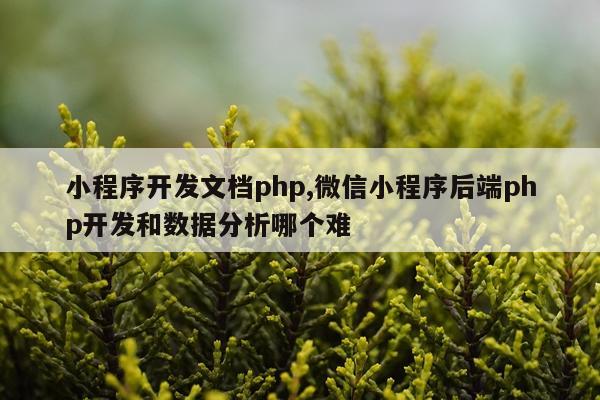 小程序开发文档php,微信小程序后端php开发和数据分析哪个难