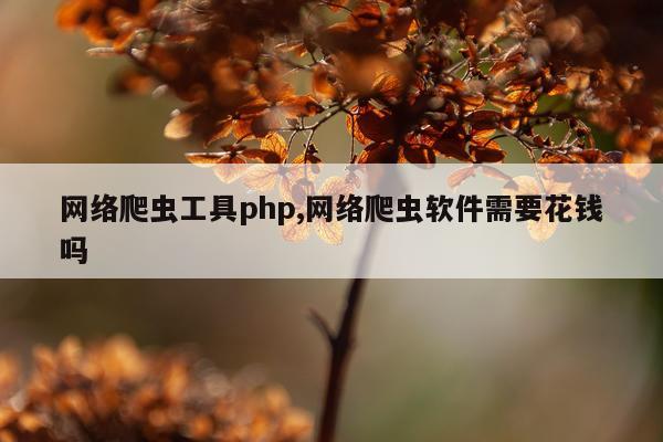 网络爬虫工具php,网络爬虫软件需要花钱吗