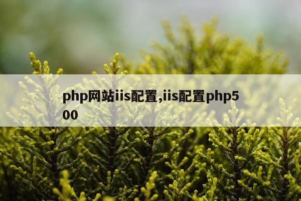 php网站iis配置,iis配置php500