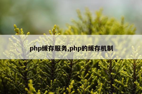 php缓存服务,php的缓存机制