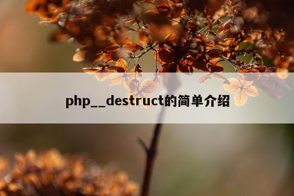 php__destruct的简单介绍
