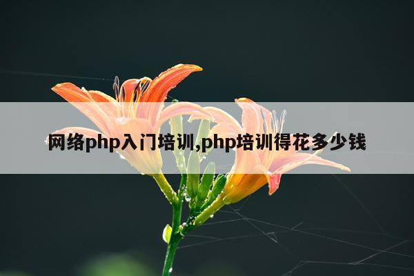 网络php入门培训,php培训得花多少钱
