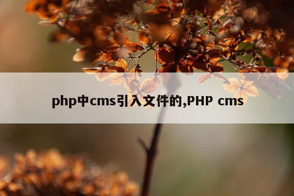 php中cms引入文件的,PHP cms