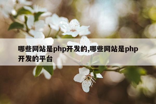 哪些网站是php开发的,哪些网站是php开发的平台