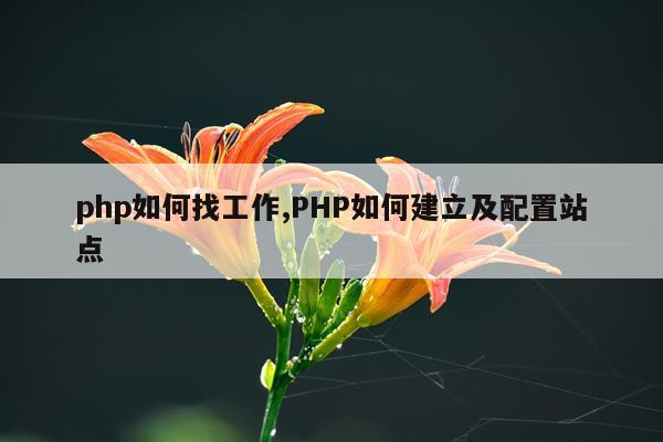 php如何找工作,PHP如何建立及配置站点