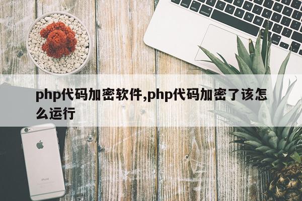 php代码加密软件,php代码加密了该怎么运行