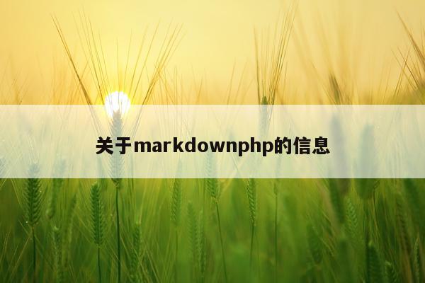 关于markdownphp的信息