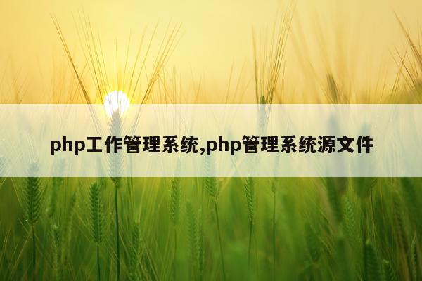 php工作管理系统,php管理系统源文件