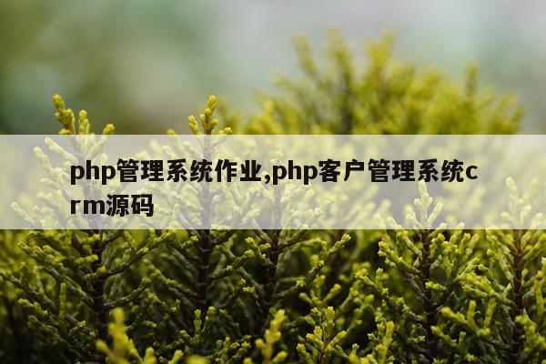 php管理系统作业,php客户管理系统crm源码