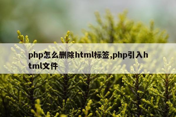 php怎么删除html标签,php引入html文件