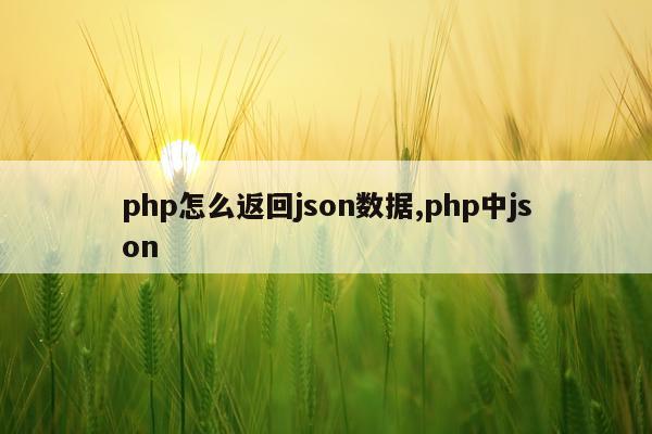 php怎么返回json数据,php中json