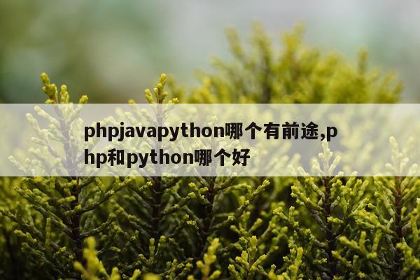 phpjavapython哪个有前途,php和python哪个好
