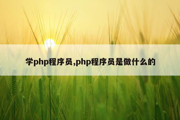 学php程序员,php程序员是做什么的