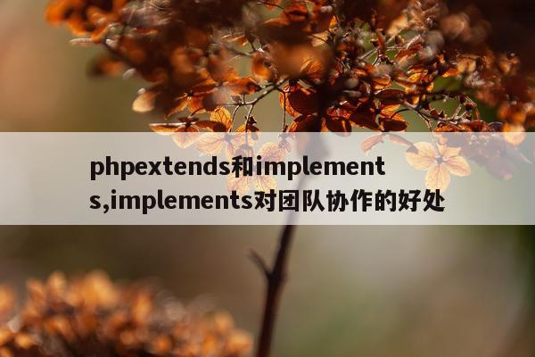 phpextends和implements,implements对团队协作的好处