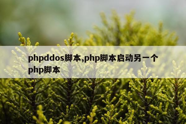 phpddos脚本,php脚本启动另一个php脚本