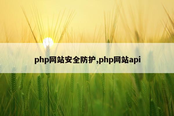 php网站安全防护,php网站api