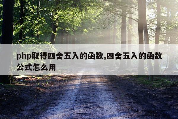 php取得四舍五入的函数,四舍五入的函数公式怎么用
