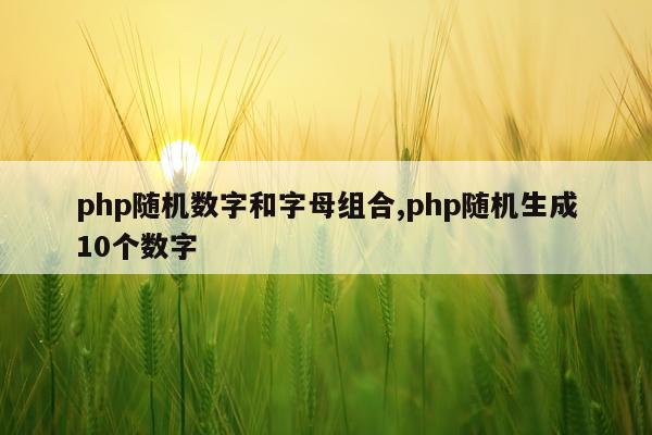 php随机数字和字母组合,php随机生成10个数字