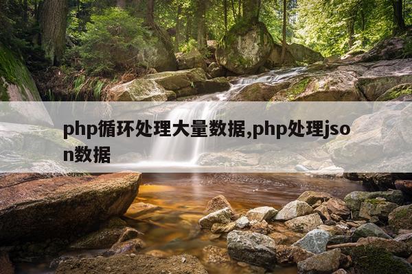php循环处理大量数据,php处理json数据