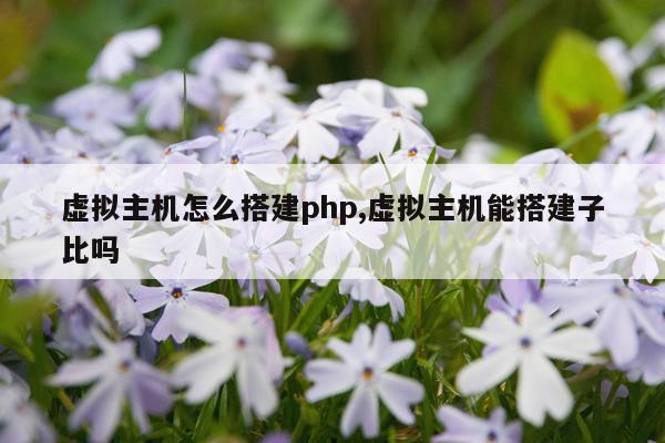 虚拟主机怎么搭建php,虚拟主机能搭建子比吗