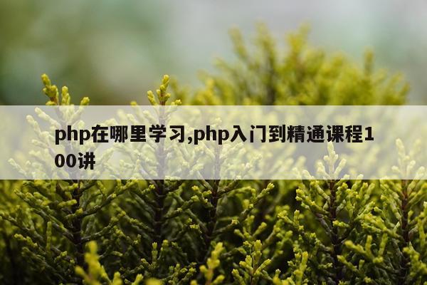 php在哪里学习,php入门到精通课程100讲