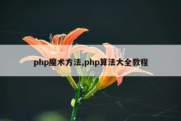 php魔术方法,php算法大全教程