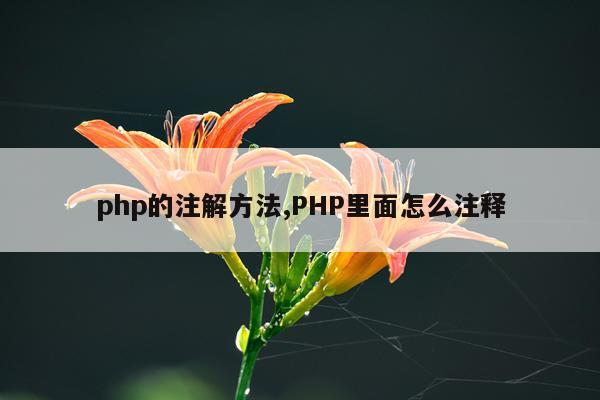 php的注解方法,PHP里面怎么注释