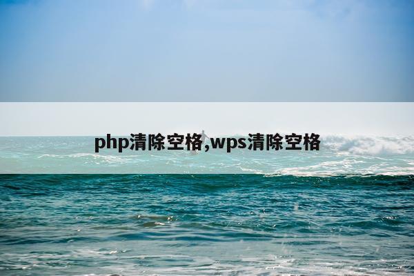 php清除空格,wps清除空格