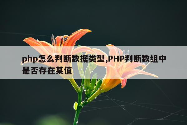php怎么判断数据类型,PHP判断数组中是否存在某值