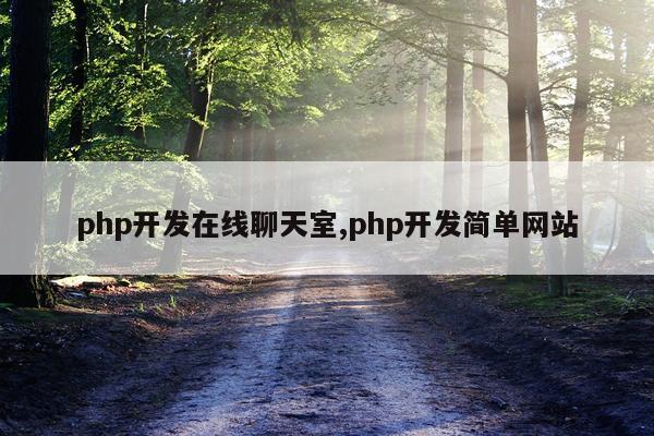 php开发在线聊天室,php开发简单网站