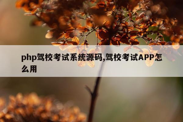 php驾校考试系统源码,驾校考试APP怎么用