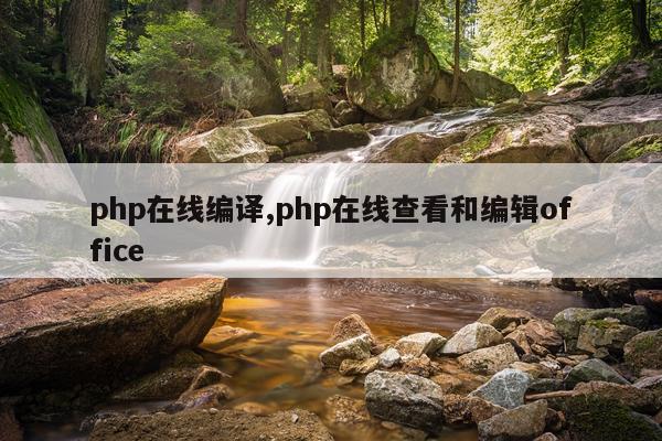 php在线编译,php在线查看和编辑office
