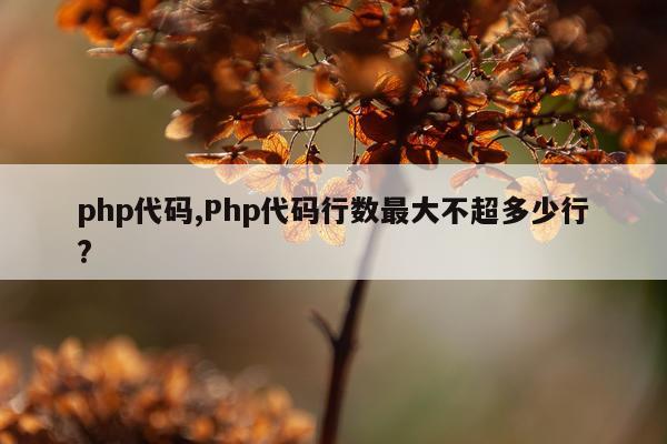 php代码,Php代码行数最大不超多少行?
