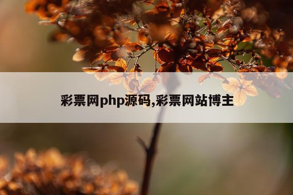 彩票网php源码,彩票网站博主