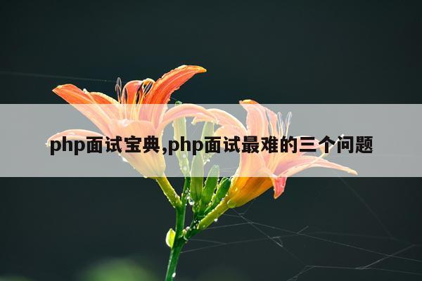 php面试宝典,php面试最难的三个问题