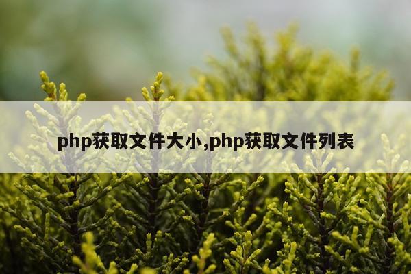 php获取文件大小,php获取文件列表