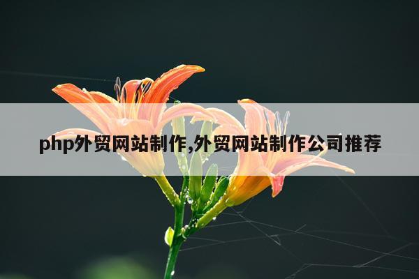 php外贸网站制作,外贸网站制作公司推荐