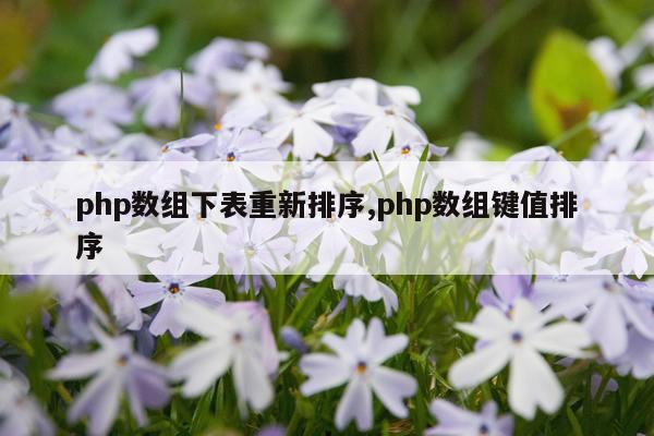 php数组下表重新排序,php数组键值排序