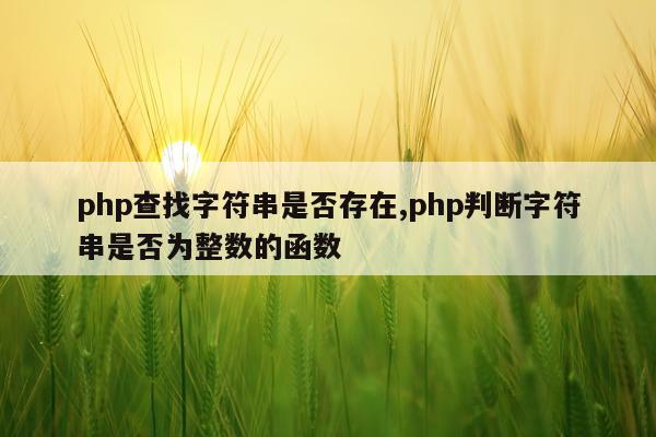 php查找字符串是否存在,php判断字符串是否为整数的函数