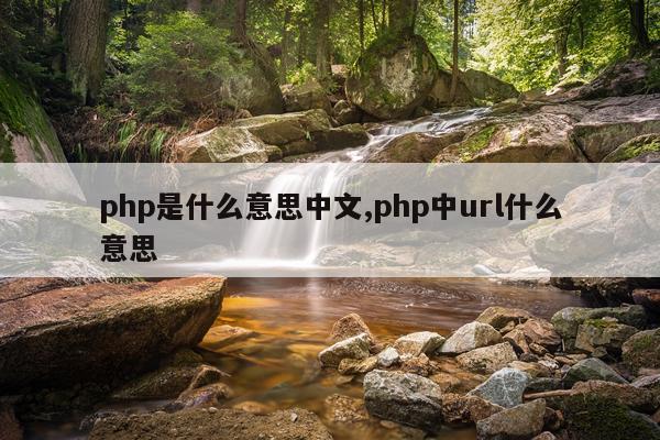 php是什么意思中文,php中url什么意思