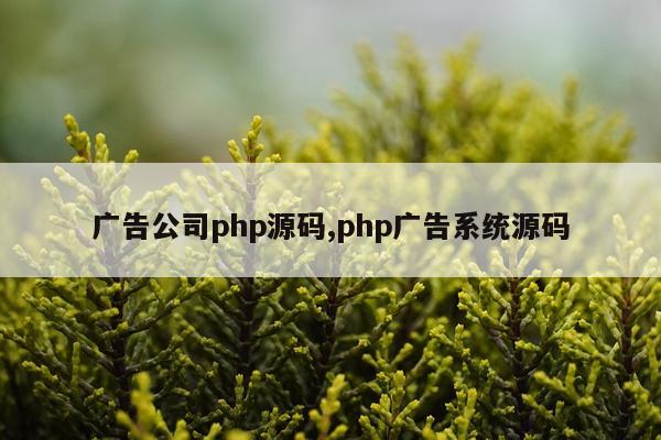 广告公司php源码,php广告系统源码
