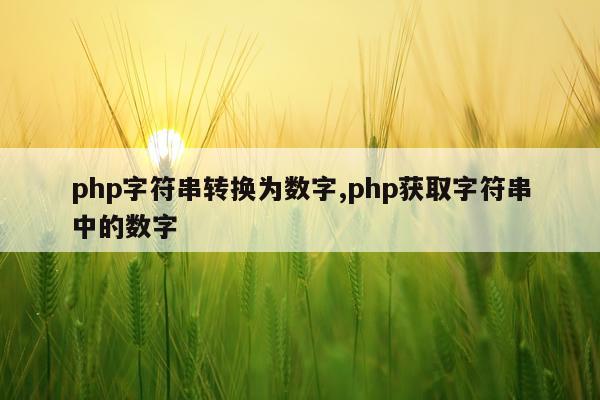 php字符串转换为数字,php获取字符串中的数字