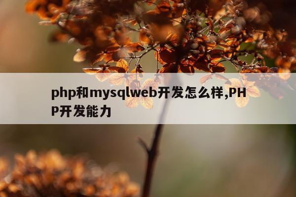 php和mysqlweb开发怎么样,PHP开发能力