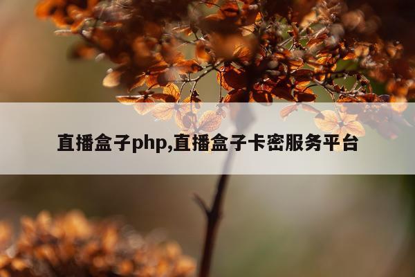 直播盒子php,直播盒子卡密服务平台