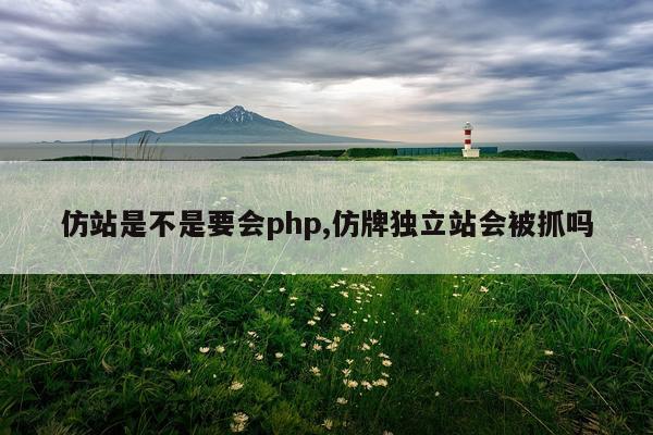 仿站是不是要会php,仿牌独立站会被抓吗