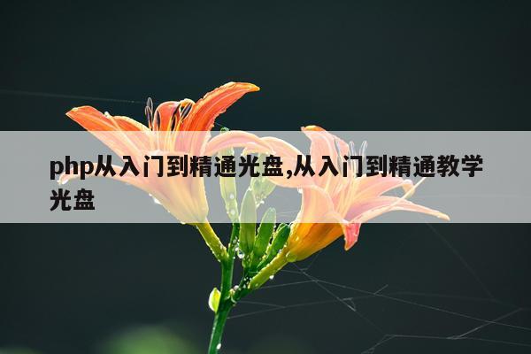 php从入门到精通光盘,从入门到精通教学光盘